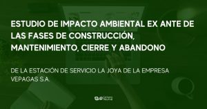 Estudio de Impacto Ambiental Vepagas