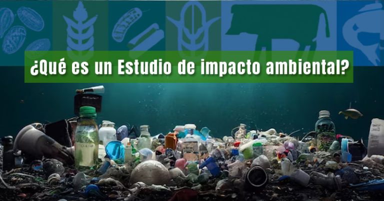 Estudio De Impacto Ambiental Ejemplo Carbono Neutral